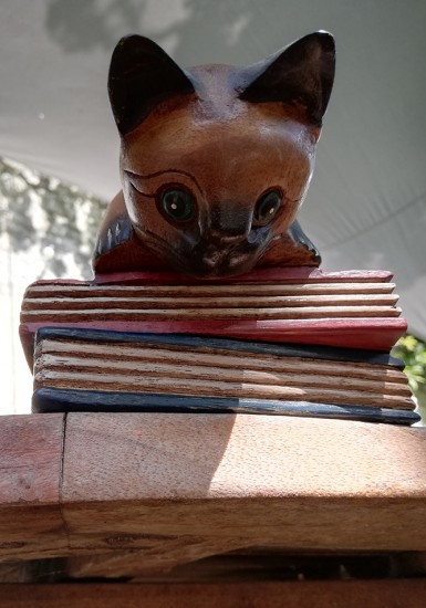 Chat bois assis sur livres,...